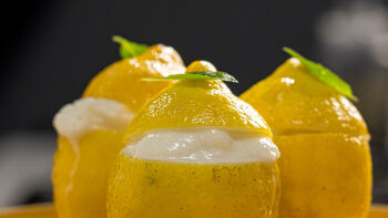 Sorbet de Limão, Espumante e Manjericão