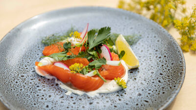 Осолена океанска пъстърва с джин и крем фреш