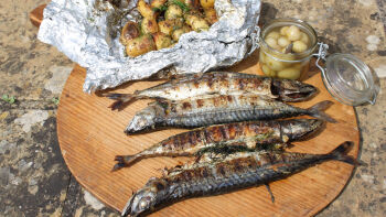 Печена скумрия с пресни картофи на скара