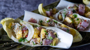 Ceviche de Atum em Cama de Endívias
